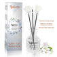 Bakhory Reed Diffuser